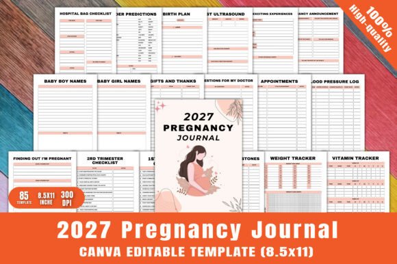 2027 Pregnancy Journal