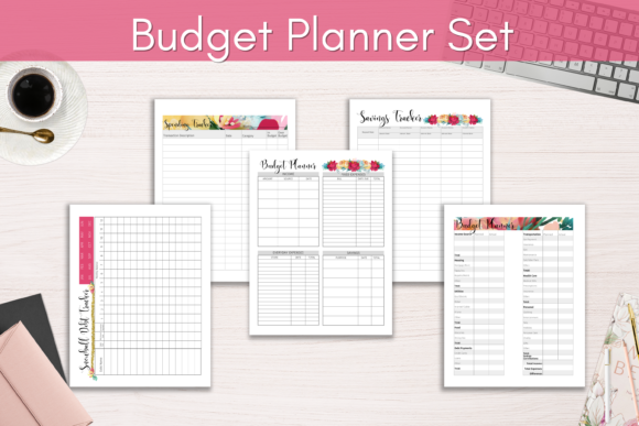Budget Savings and Debt Snowball Planner